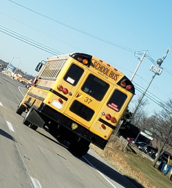 bus 37